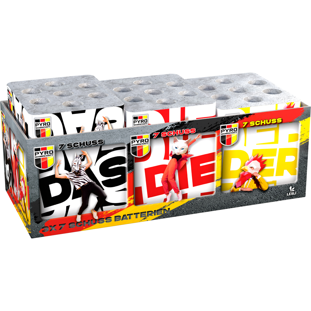 Feuerwerk DAS DIE DER