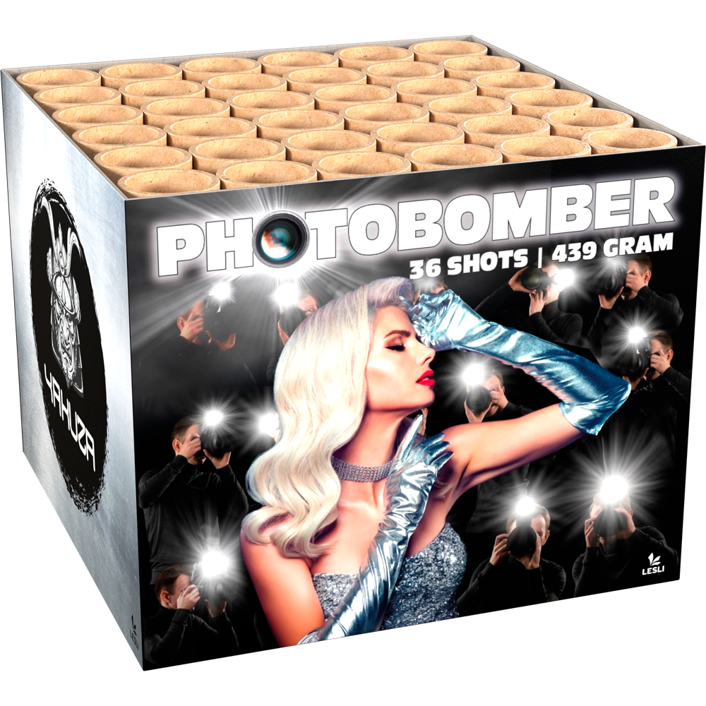 Feuerwerk Photobomber